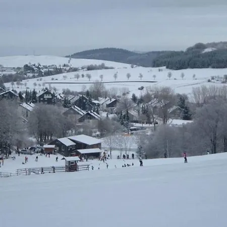 Holiday home Cosy In Willingen Usseln With Terrace *